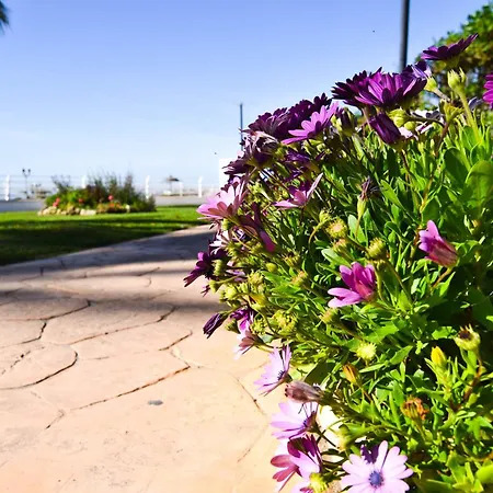 Letmalaga Santa Clara * טורמולינוס