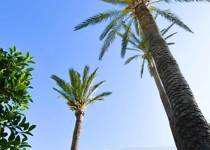 Letmalaga Santa Clara Apartamento