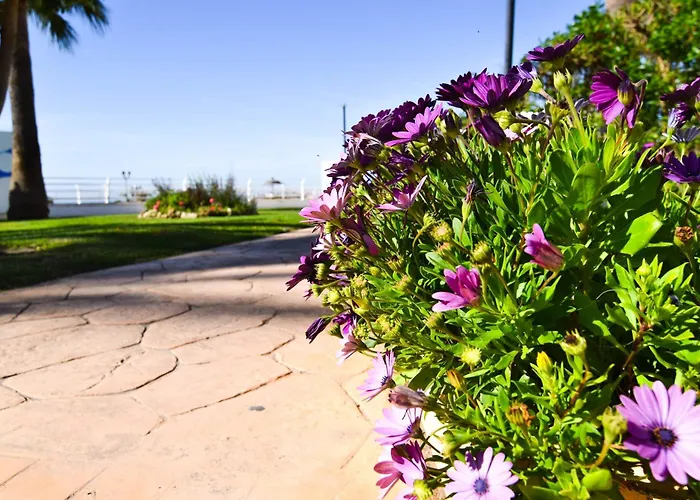 Letmalaga Santa Clara * Torremolinos